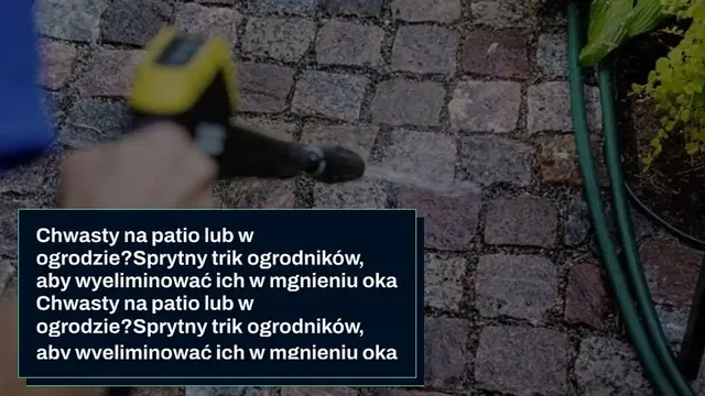 'Video thumbnail for Chwasty na patio lub w ogrodzie? Sprytny trik ogrodników, aby wyeliminować ich w mgnieniu oka'