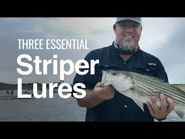 'Video thumbnail for The 3 Most Effective Striper Lures'