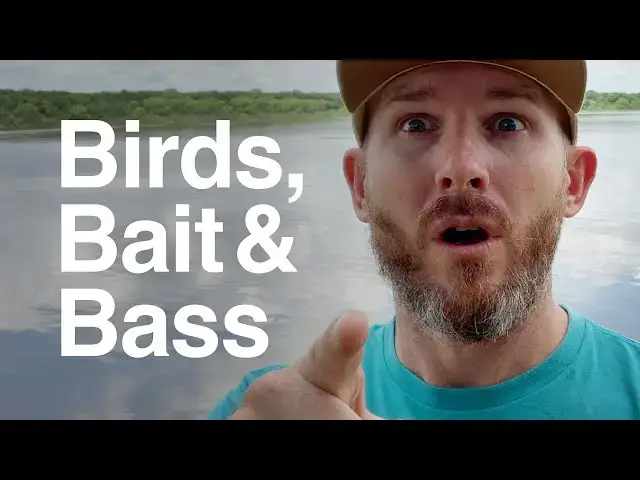 'Video thumbnail for Locate Schools of White Bass (Sand Bass) Without a Fish Finder'