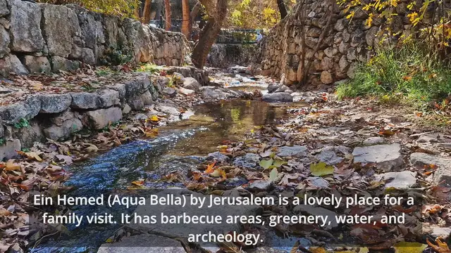 'Video thumbnail for Ein Hemed National Park'