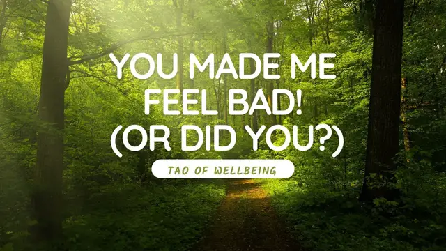 'Video thumbnail for You MADE ME FEEL BAD! (or did you?)'