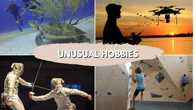 'Video thumbnail for Unusual Hobbies Who May Surprise You'