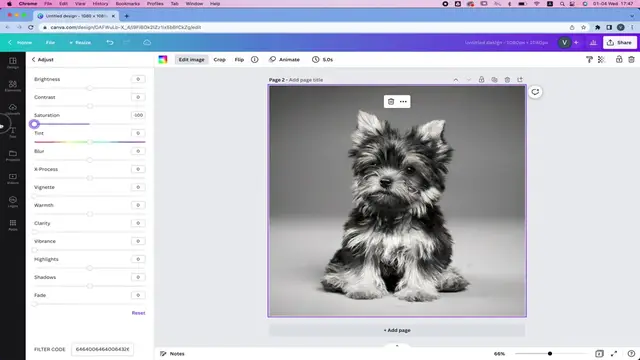 'Video thumbnail for Turn Canva Photos into Black and White  Canva Tutorial for Beginners - 720'