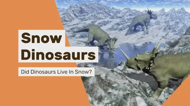 'Video thumbnail for Did Dinosaurs Live in Snow'