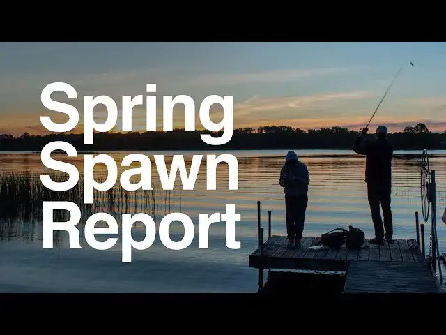 'Video thumbnail for Bass Spring Spawn Report for Texas & Oklahoma (Grand Lake, Lake Fork, Cedar Creek Lake, Lake Travis)'