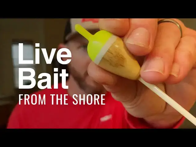 'Video thumbnail for Fishing with Live Bait from Shore with a Slip Bobber'