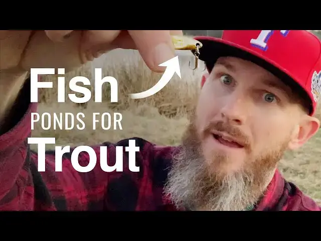 'Video thumbnail for How to Fish Ponds for Stocked Rainbow Trout'