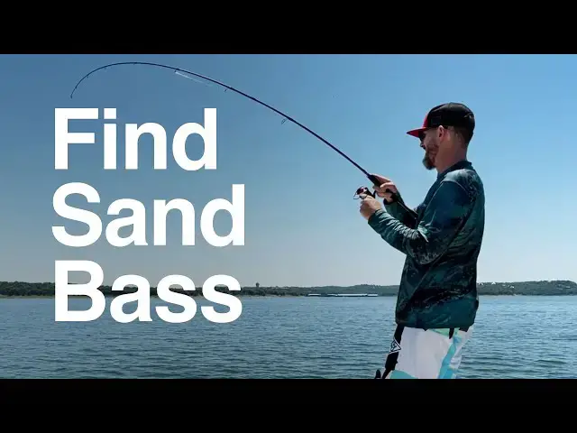 'Video thumbnail for Fishing Shallows for Sand Bass'