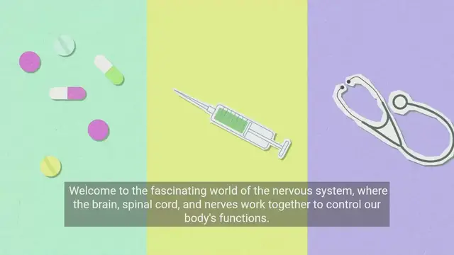 'Video thumbnail for Understanding the Nervous System | Brain, Spinal Cord and Nerves'
