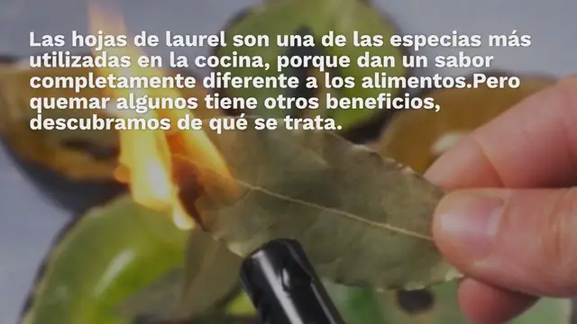 'Video thumbnail for Quema hojas de laurel en casa, sorprende lo que pasa 10 minutos después'
