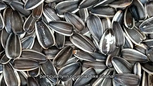 'Video thumbnail for grains of paradise'