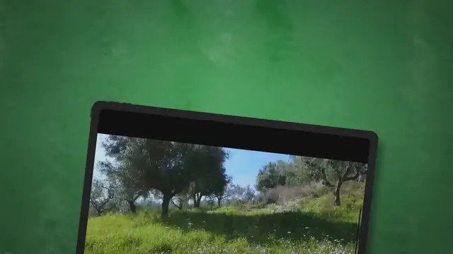 'Video thumbnail for Where Olive Trees Grow Best'