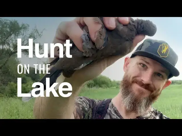'Video thumbnail for Can You Hunt Dove At Your Local Lake?'