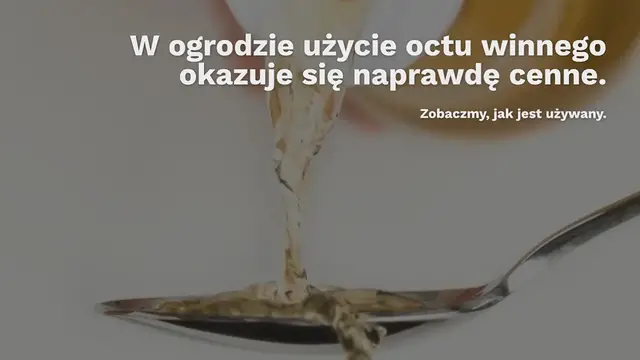'Video thumbnail for Ocet winny, w ogrodzie jest wart złota, ale niewielu zna wszystkie jego tajne zastosowania'