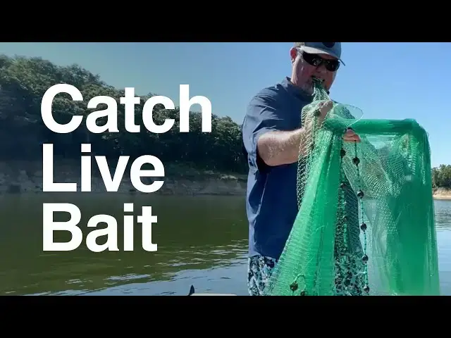 'Video thumbnail for Catch Live Bait With A Cast Net'