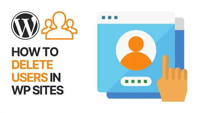 'Video thumbnail for How To Delete Users in WordPress - Beginners Tutorial'