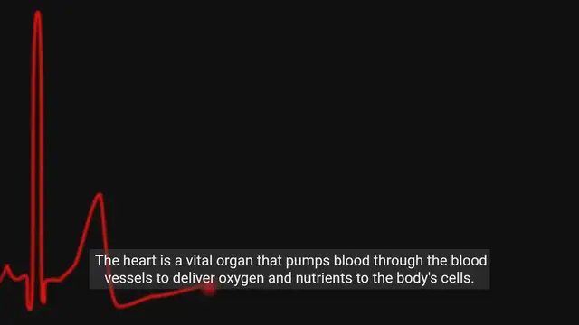 'Video thumbnail for Understanding the Cardiovascular System'
