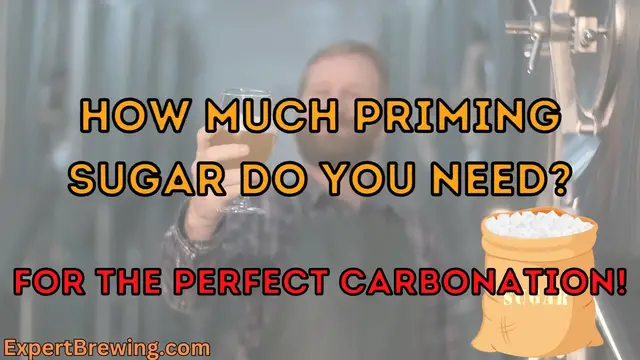 'Video thumbnail for Priming Sugar Brewing Guide'