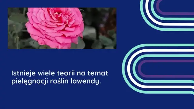 'Video thumbnail for 40 naturalnych wskazówek ogrodniczych, aby zadbać o swój ogród'