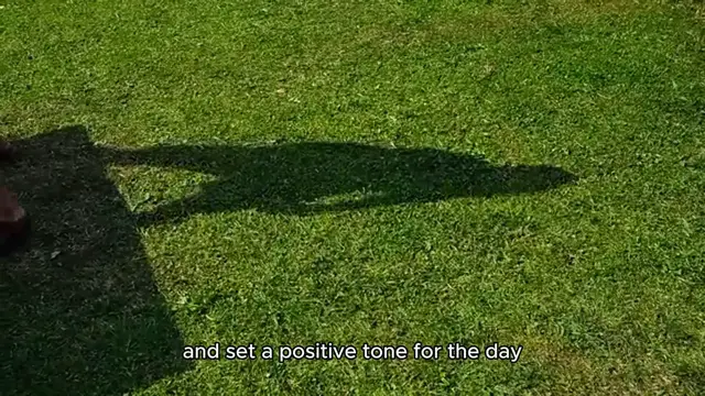 'Video thumbnail for Best Tips for creating a Morning workout Routine'