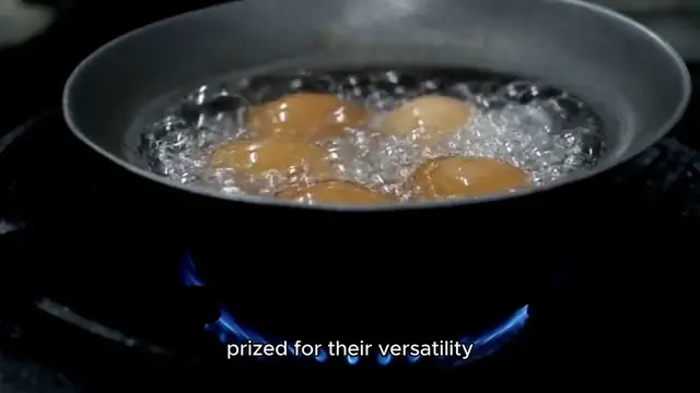 'Video thumbnail for Big egg's '