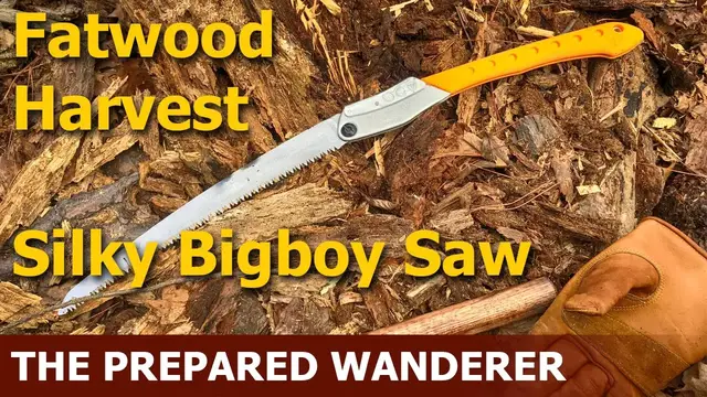 'Video thumbnail for Fatwood Harvest with Silky Big Boy Saw'