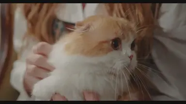 'Video thumbnail for Essential Steps to Train Your New Pet from Day One'