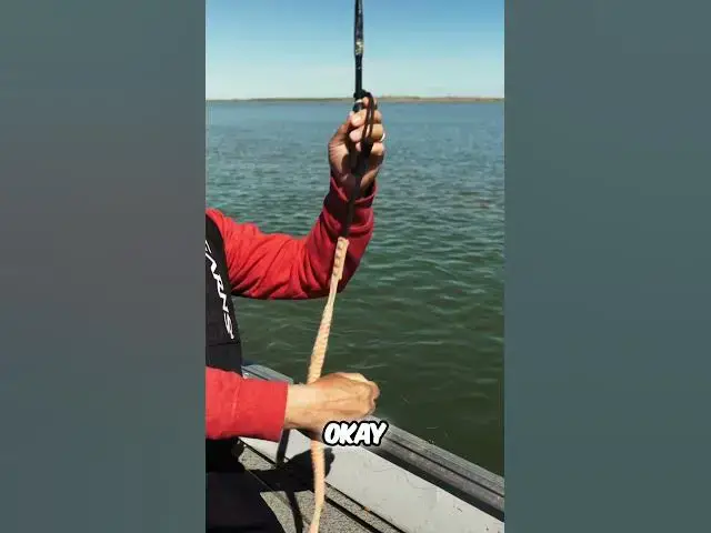 'Video thumbnail for The Second Time EVER We've Seen This Fish #inconnu #fishing #arctic #northwestterritories #fishing'