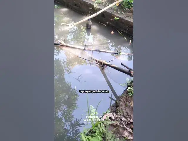 'Video thumbnail for mancing di kolam purba banyak ke anehan#ngakak #sketsa #sketsakomedi'