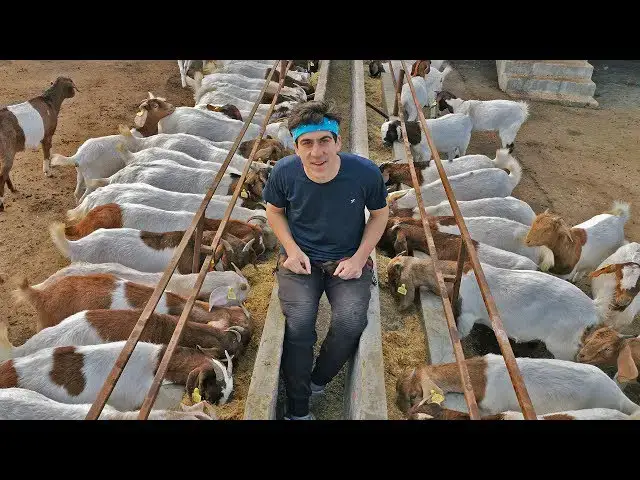 'Video thumbnail for day in the life of a goat farmer in Nepal'