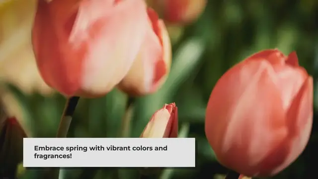 'Video thumbnail for Preparing Your Garden for Spring: A Comprehensive Guide'