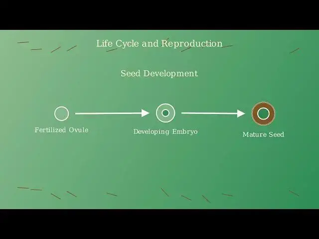'Video thumbnail for Gymnosperms Explained: Characteristics, Life Cycle, and Economic Importance'