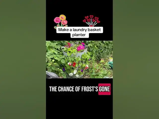 'Video thumbnail for 🧺 How to Make a Laundry Basket Planter | Easy DIY Gardening Hack'