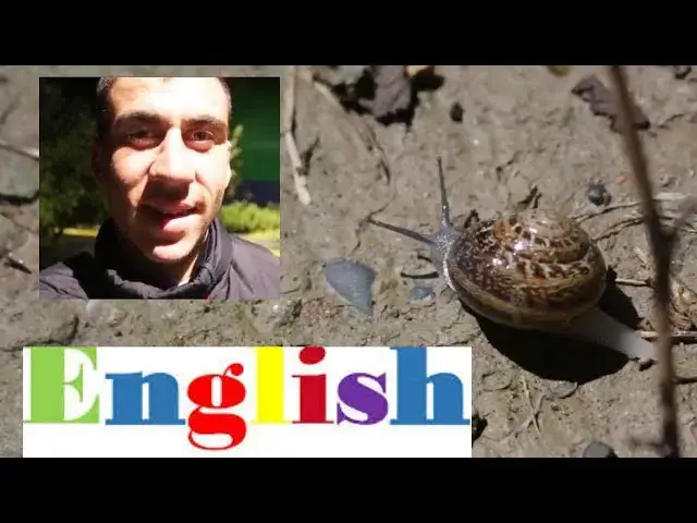 'Video thumbnail for WHY I SPEAK "ENGLISH"'