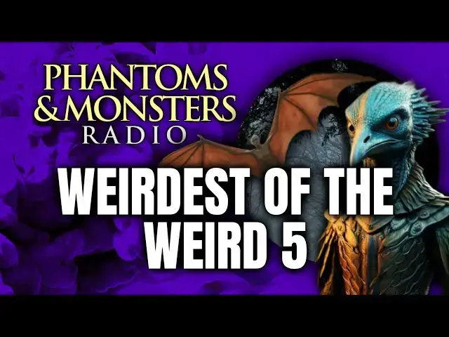 'Video thumbnail for WEIRDEST OF THE WEIRD 5 - CREEPY, UNEXPLAINED ENCOUNTERS | Live Chat Q&A | (EYEWITNESS REPORTS)'