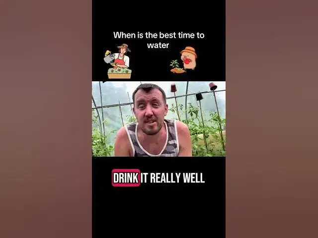 'Video thumbnail for 💧 When Is the BEST Time to Water Your Plants? | Morning vs Evening Explained 🌿'