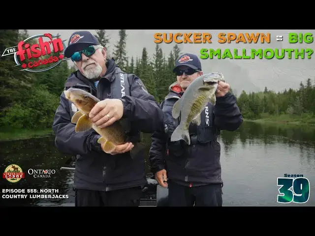 'Video thumbnail for Sucker Spawn = BIG Smallmouth?? | The Fish'n Canada Show'
