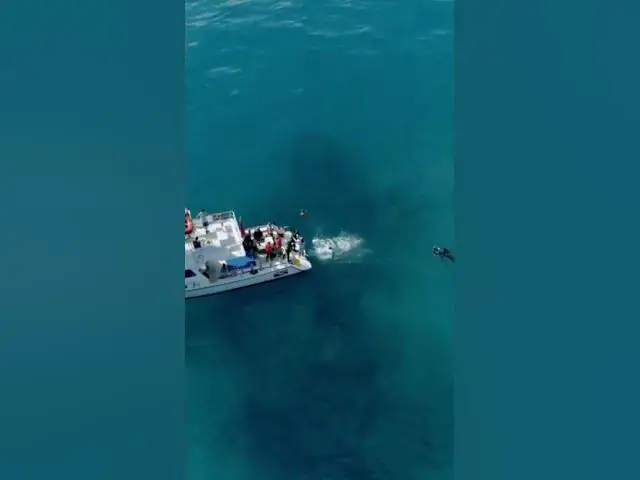 'Video thumbnail for Titan_Submersible_Tragedy_Unveiled #facts #scottymccreery'