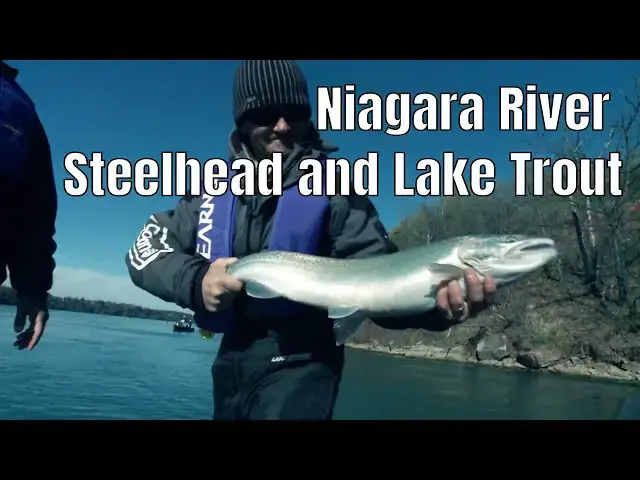 'Video thumbnail for Niagara River Steelhead and Lake Trout | Fish'n Canada'