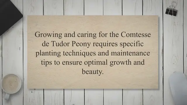 'Video thumbnail for Comtesse de Tudor Peony: Nobility in Every Petal'