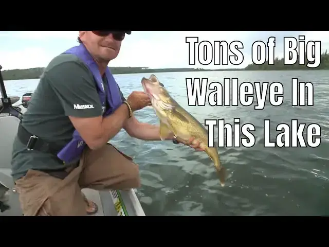 'Video thumbnail for Catch Hundreds Of Walleye In This Lake |  Fish'n Canada'