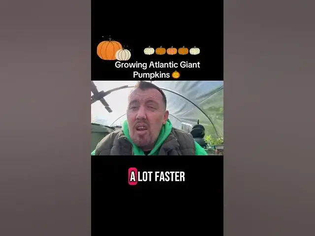 'Video thumbnail for 🎃 Growing Atlantic Giant Pumpkins | Tips for Massive Results from Seed to Harvest'