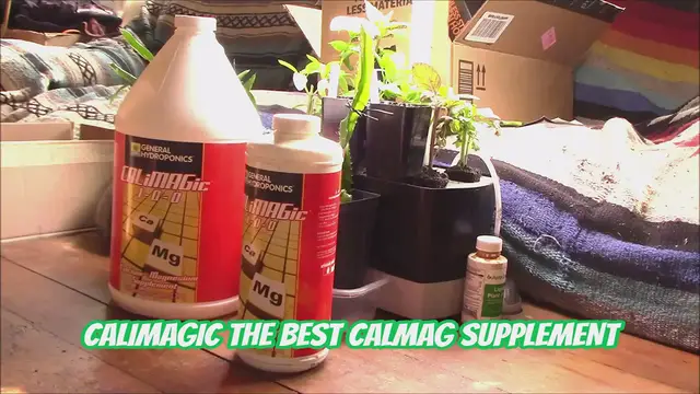 'Video thumbnail for CaliMagic The Best CalMag Supplement'