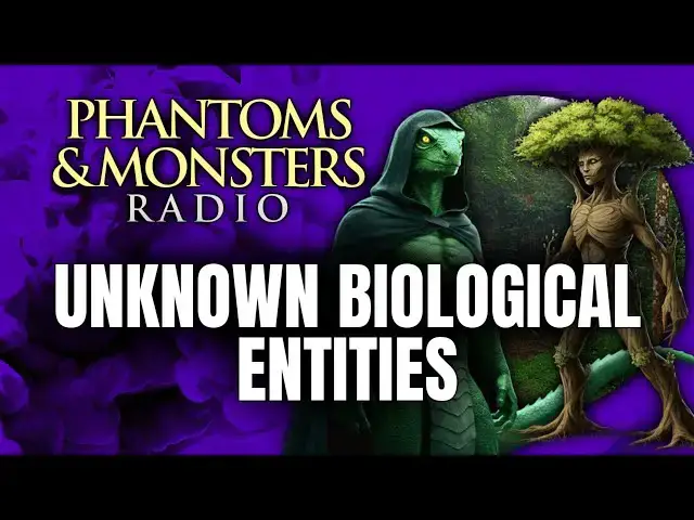 'Video thumbnail for UNKNOWN BIOLOGICAL ENTITIES - Experiences Beyond Belief | Live Chat | Q & A (REMARKABLE ENCOUNTERS!)'