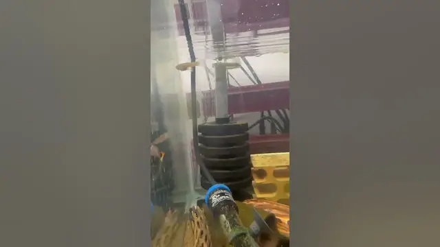 'Video thumbnail for New Japan Blue Red Double Swordtail guppies. #newproject #beautiful #guppybreeder'