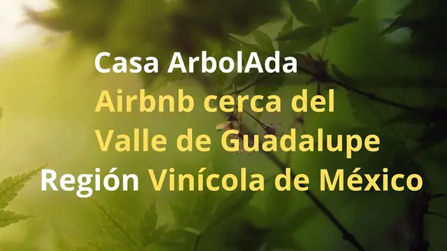 'Video thumbnail for Airbnb cerca de la Región Vinícola de México / Valle de Guadalupe / Ensenada / Casa ArbolAda'