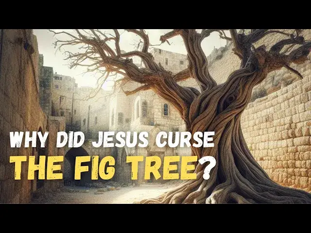 'Video thumbnail for Why did Jesus curse the Fig Tree?'