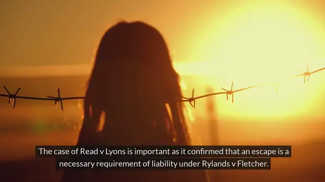 'Video thumbnail for Read v Lyons [1947] AC 156  Tort Law www.e-lawresources.co.uk'