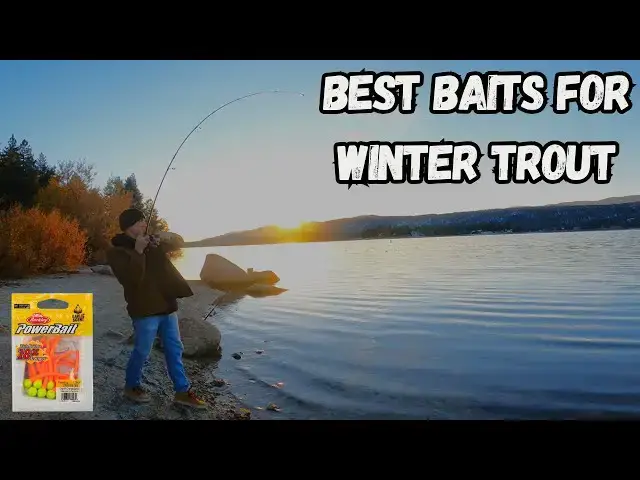'Video thumbnail for Best Baits for Winter Trout Fishing | Big Bear Lake'