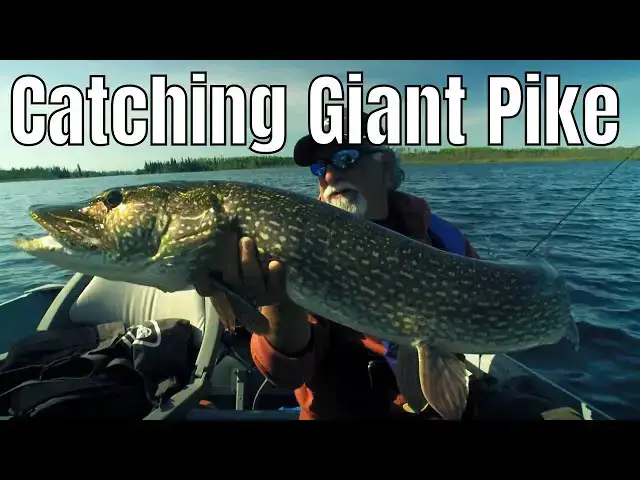 'Video thumbnail for Catching Giant Pike In A High-Water Coldfront | Fish'n Canada'